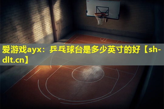 乒乓球台是多少英寸的好 乒乓球台是多少英寸的好