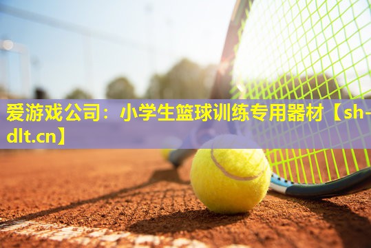小学生篮球训练专用器材 小学生篮球训练专用器材
