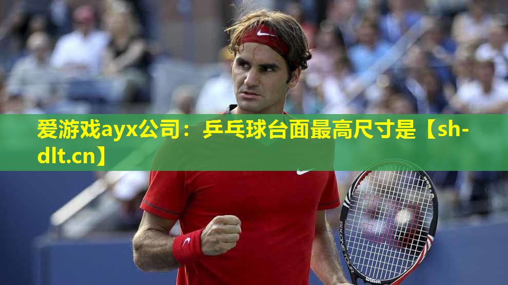 乒乓球台面最高尺寸是 乒乓球台面最高尺寸是