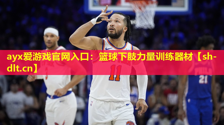 篮球下肢力量训练器材 篮球下肢力量训练器材