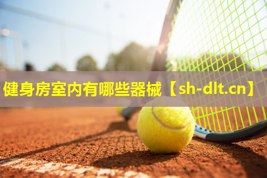 健身房室内有哪些器械 健身房室内有哪些器械