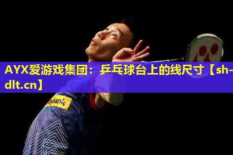 乒乓球台上的线尺寸 乒乓球台上的线尺寸
