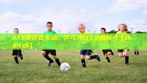乒乓球台上的线尺寸 乒乓球台上的线尺寸