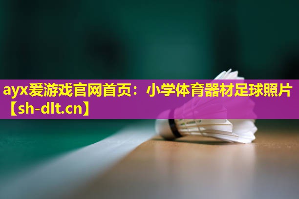 小学体育器材足球照片 小学体育器材足球照片