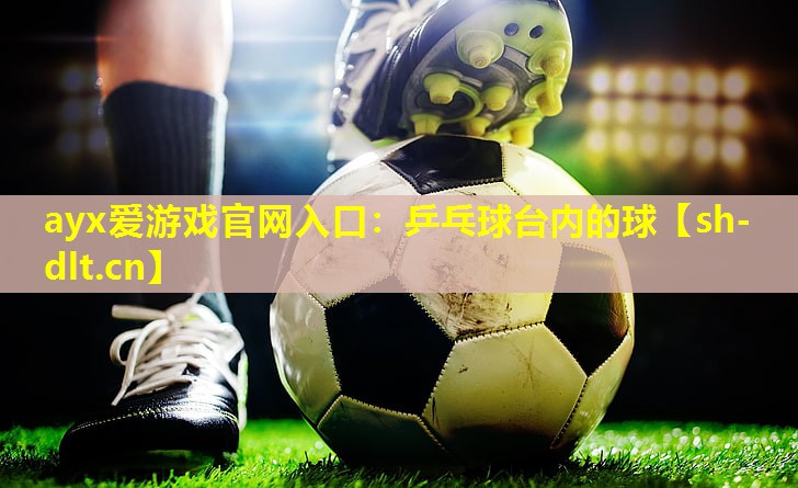 乒乓球台内的球 乒乓球台内的球