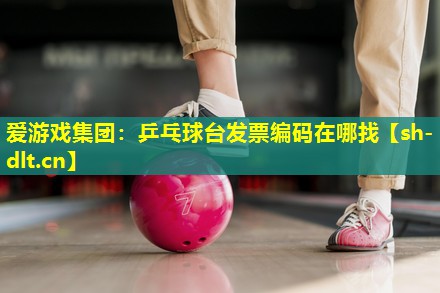 乒乓球台发票编码在哪找 乒乓球台发票编码在哪找