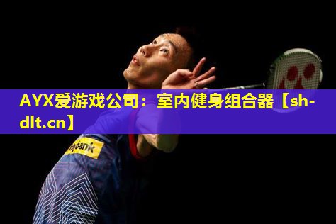 室内健身组合器 室内健身组合器