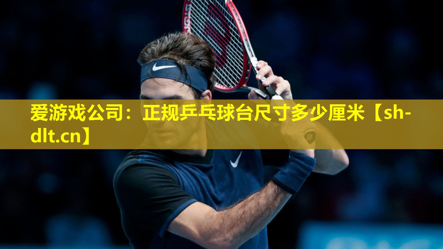 正规乒乓球台尺寸多少厘米 正规乒乓球台尺寸多少厘米