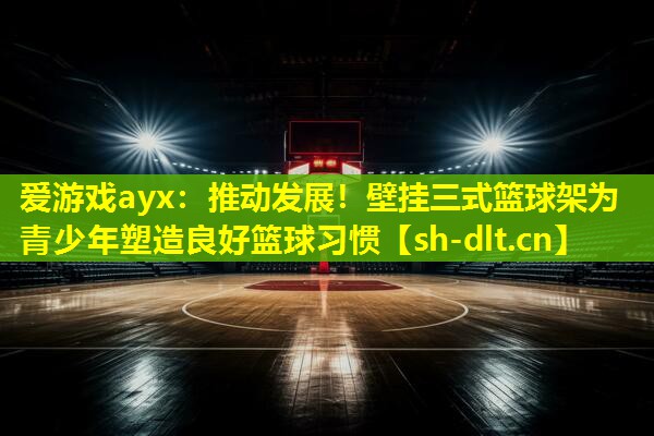 推动发展!壁挂三式篮球架为青少年塑造良好篮球习惯 推动发展!壁挂三式篮球架为青少年塑造良好篮球习惯