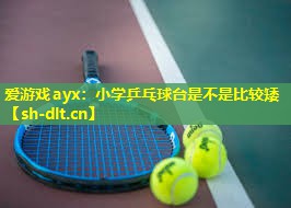小学乒乓球台是不是比较矮 小学乒乓球台是不是比较矮