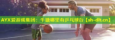 牛塘哪里有乒乓球台 牛塘哪里有乒乓球台