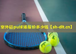 室外硅pu球场报价多少钱 室外硅pu球场报价多少钱