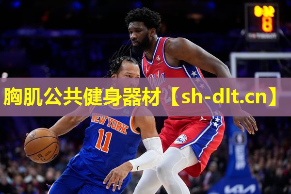 胸肌公共健身器材 胸肌公共健身器材