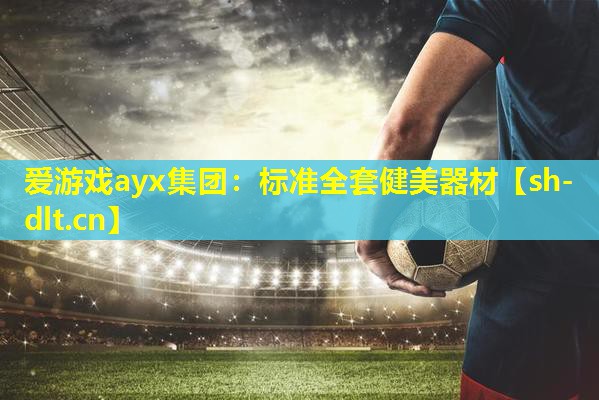标准全套健美器材 标准全套健美器材