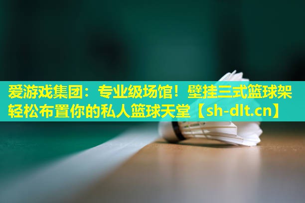 专业级场馆!壁挂三式篮球架轻松布置你的私人篮球天堂 专业级场馆!壁挂三式篮球架轻松布置你的私人篮球天堂