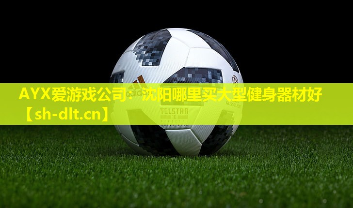 沈阳哪里买大型健身器材好 沈阳哪里买大型健身器材好