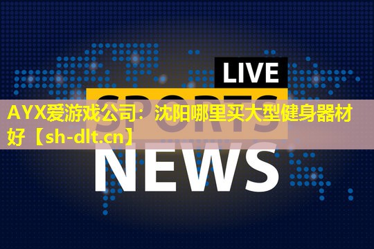 沈阳哪里买大型健身器材好 沈阳哪里买大型健身器材好