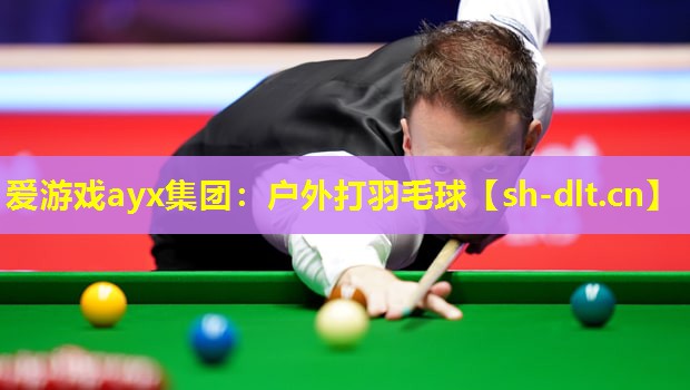 户外打羽毛球 户外打羽毛球