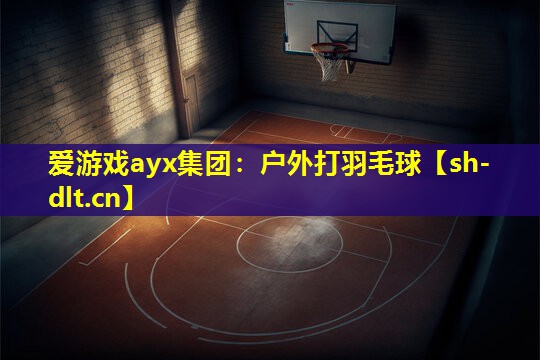 户外打羽毛球 户外打羽毛球