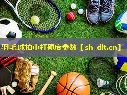 羽毛球拍中杆硬度参数 羽毛球拍中杆硬度参数