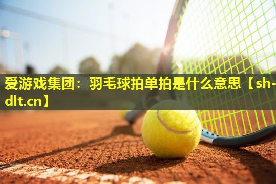 羽毛球拍单拍是什么意思 羽毛球拍单拍是什么意思