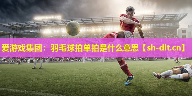 羽毛球拍单拍是什么意思 羽毛球拍单拍是什么意思