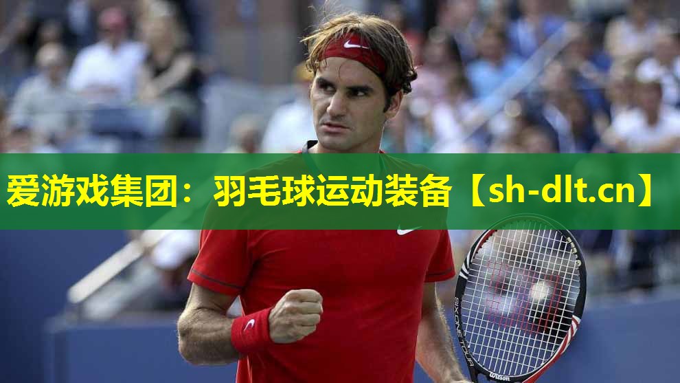 羽毛球运动装备 羽毛球运动装备