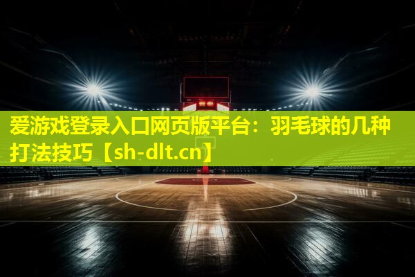 羽毛球的几种打法技巧 羽毛球的几种打法技巧