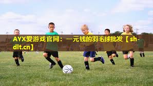 一元钱的羽毛球批发 一元钱的羽毛球批发