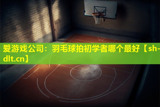 羽毛球拍初学者哪个最好 羽毛球拍初学者哪个最好