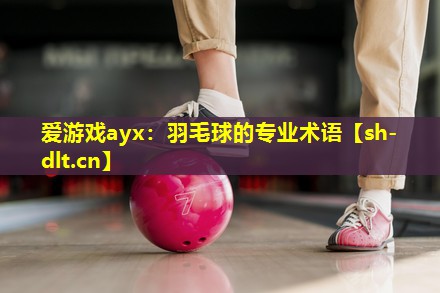 羽毛球的专业术语 羽毛球的专业术语