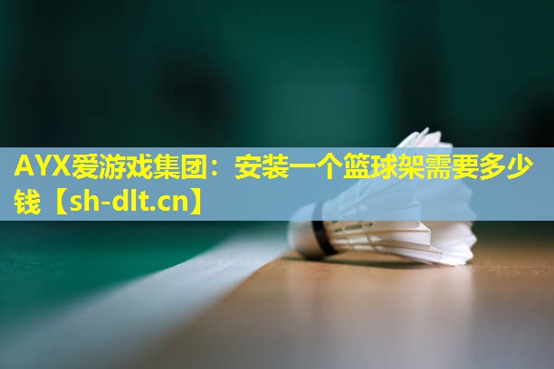 安装一个篮球架需要多少钱 安装一个篮球架需要多少钱