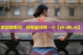 组装篮球架一个 组装篮球架一个