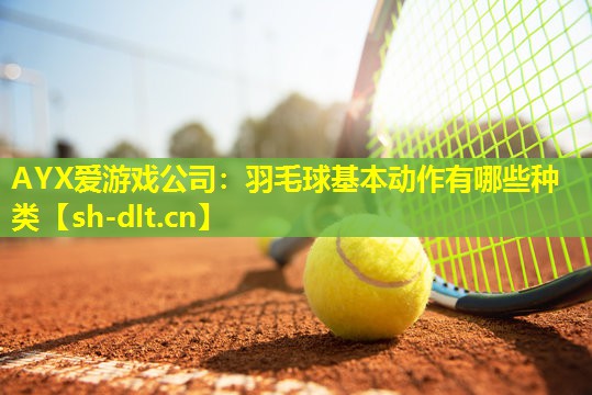 羽毛球基本动作有哪些种类 羽毛球基本动作有哪些种类