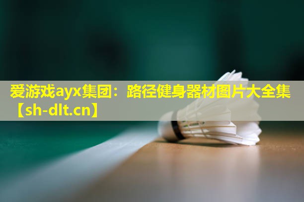 路径健身器材图片大全集 路径健身器材图片大全集