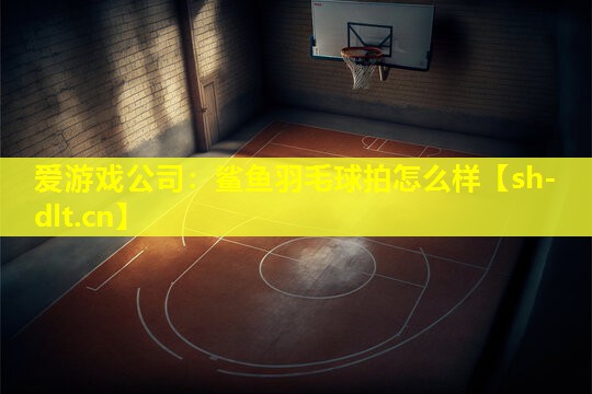 鲨鱼羽毛球拍怎么样 鲨鱼羽毛球拍怎么样