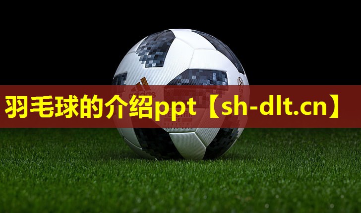羽毛球的介绍ppt 羽毛球的介绍ppt