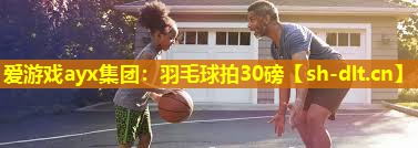 羽毛球拍30磅 羽毛球拍30磅