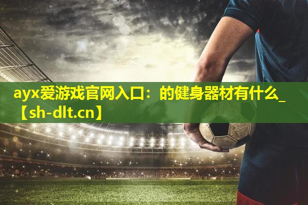 的健身器材有什么_ 的健身器材有什么_