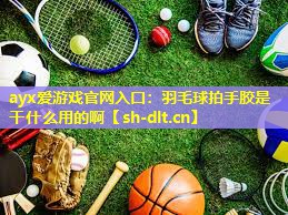 羽毛球拍手胶是干什么用的啊 羽毛球拍手胶是干什么用的啊