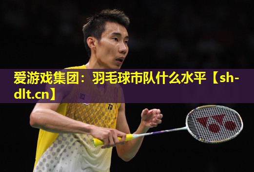 羽毛球市队什么水平 羽毛球市队什么水平