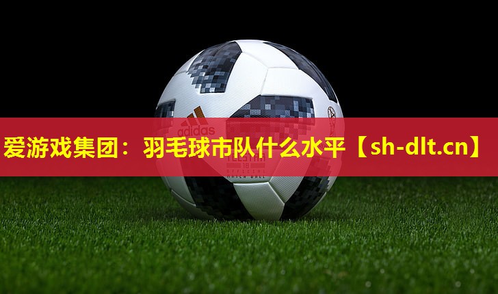 羽毛球市队什么水平 羽毛球市队什么水平