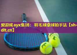 羽毛球拿球拍手法 羽毛球拿球拍手法