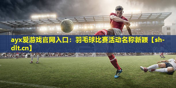 羽毛球比赛活动名称新颖 羽毛球比赛活动名称新颖