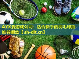 适合新手的羽毛球拍推荐哪款 适合新手的羽毛球拍推荐哪款
