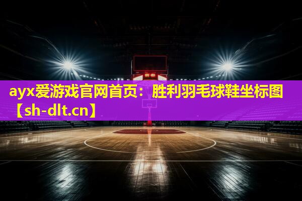 胜利羽毛球鞋坐标图 胜利羽毛球鞋坐标图