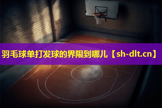 羽毛球单打发球的界限到哪儿 羽毛球单打发球的界限到哪儿