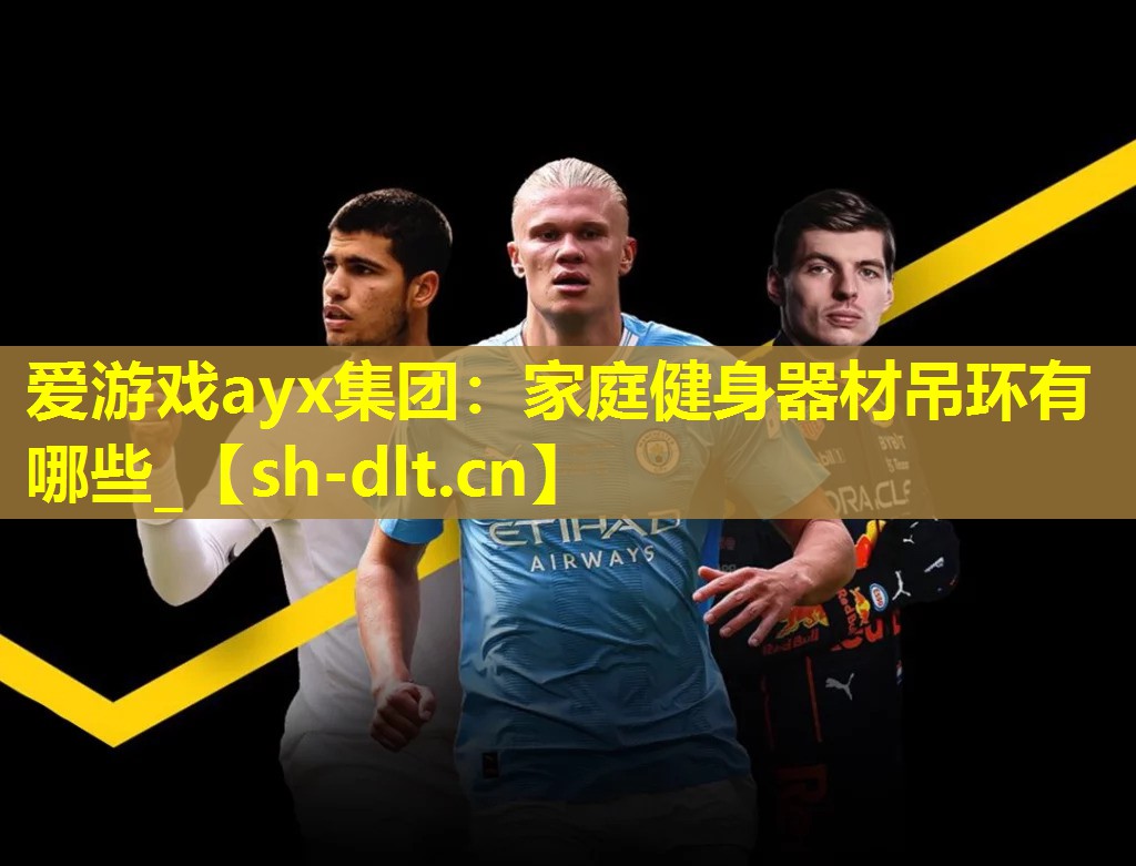 家庭健身器材吊环有哪些_ 家庭健身器材吊环有哪些_