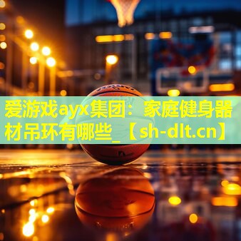 家庭健身器材吊环有哪些_ 家庭健身器材吊环有哪些_
