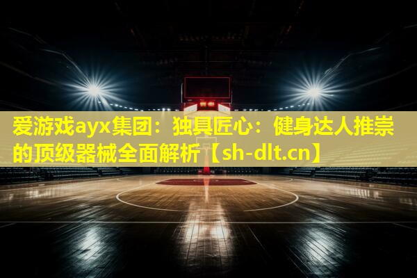 独具匠心:健身达人推崇的顶级器械全面解析 独具匠心:健身达人推崇的顶级器械全面解析